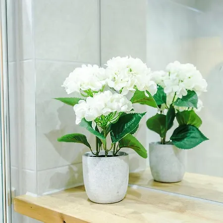 Apartmán Sleek 2 Bed Free Parking And Terrace